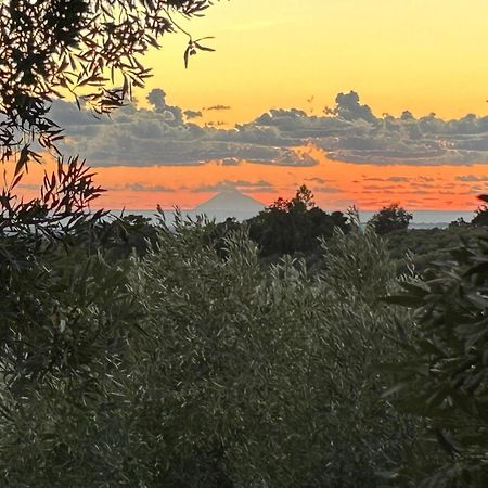 Agriturismo Le Carolee Pianopoli Zewnętrze zdjęcie